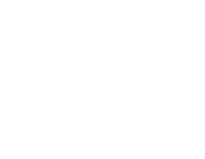 Marques Group LLC.